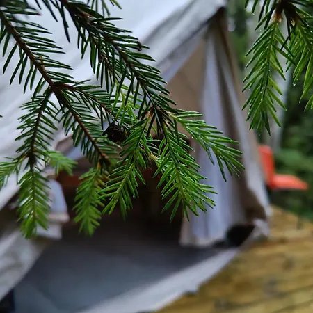 Kallion Kamujen Glamping Teltta-alue אוהל מפואר *