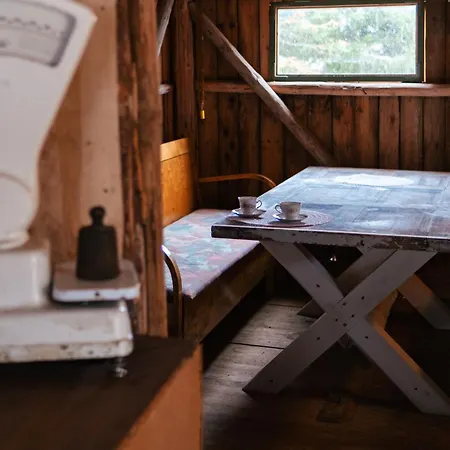 Kallion Kamujen Glamping Teltta-alue