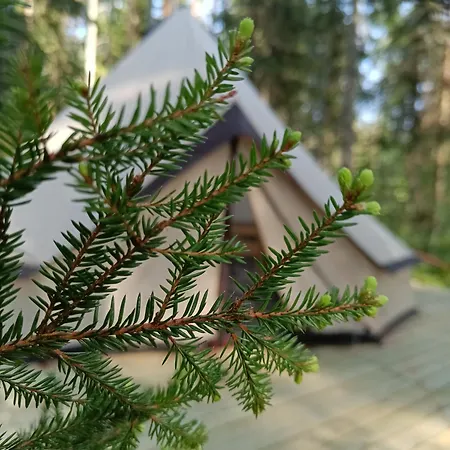 Kallion Kamujen Glamping Teltta-alue * קוריקה